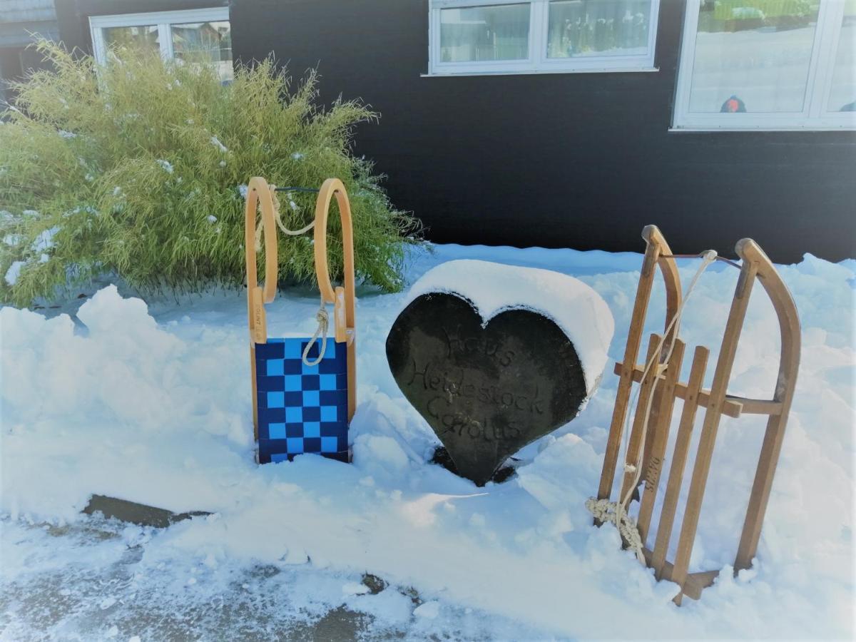 Bergchalet Heidestock Willingen  Zewnętrze zdjęcie