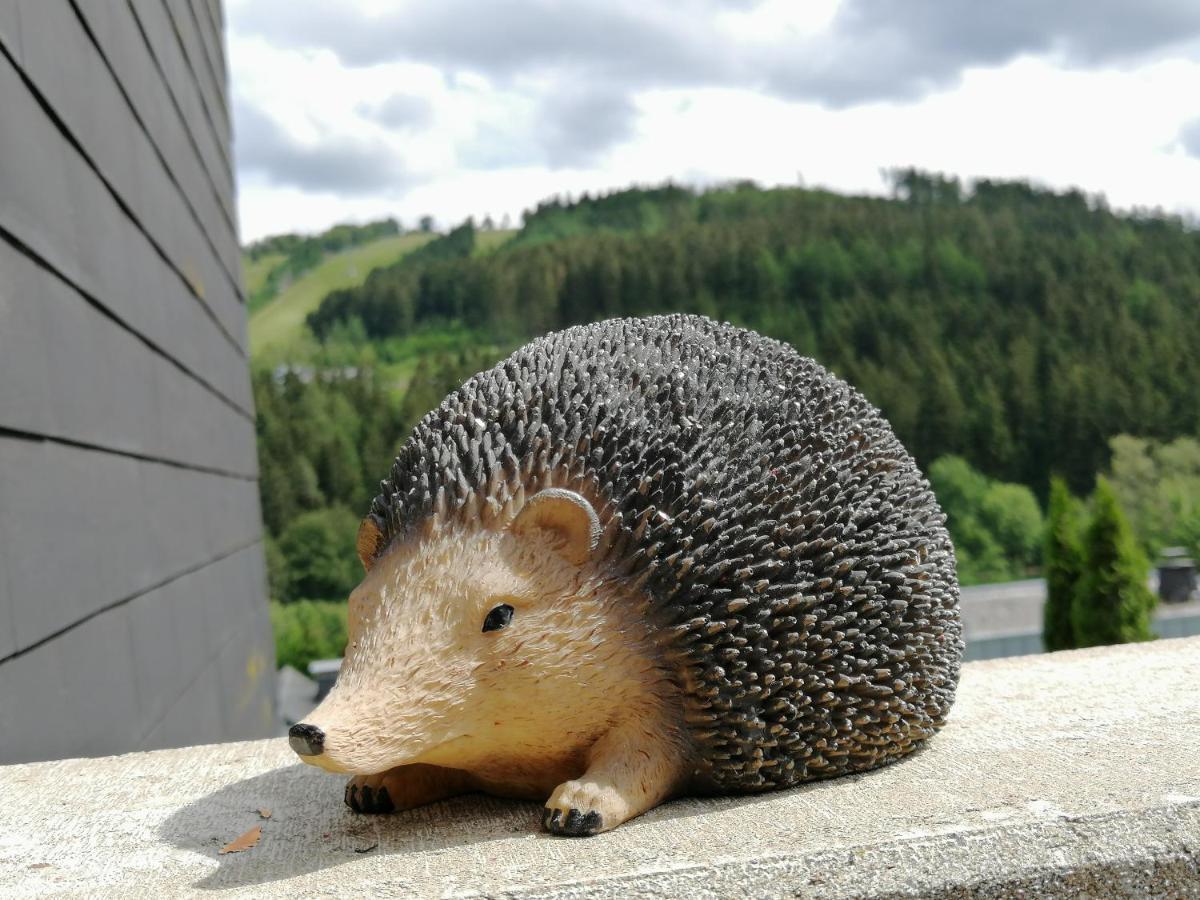 Bergchalet Heidestock Willingen  Zewnętrze zdjęcie