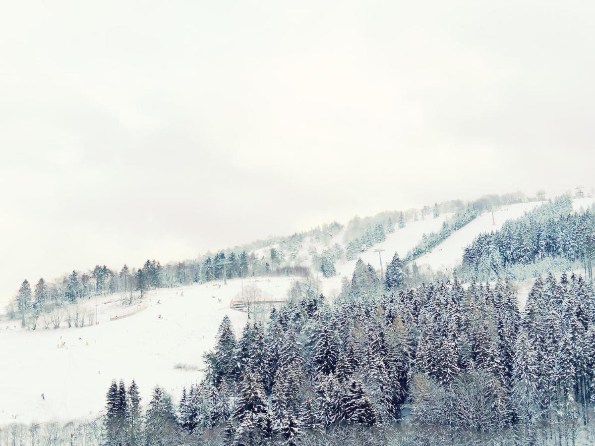 Bergchalet Heidestock Willingen  Zewnętrze zdjęcie