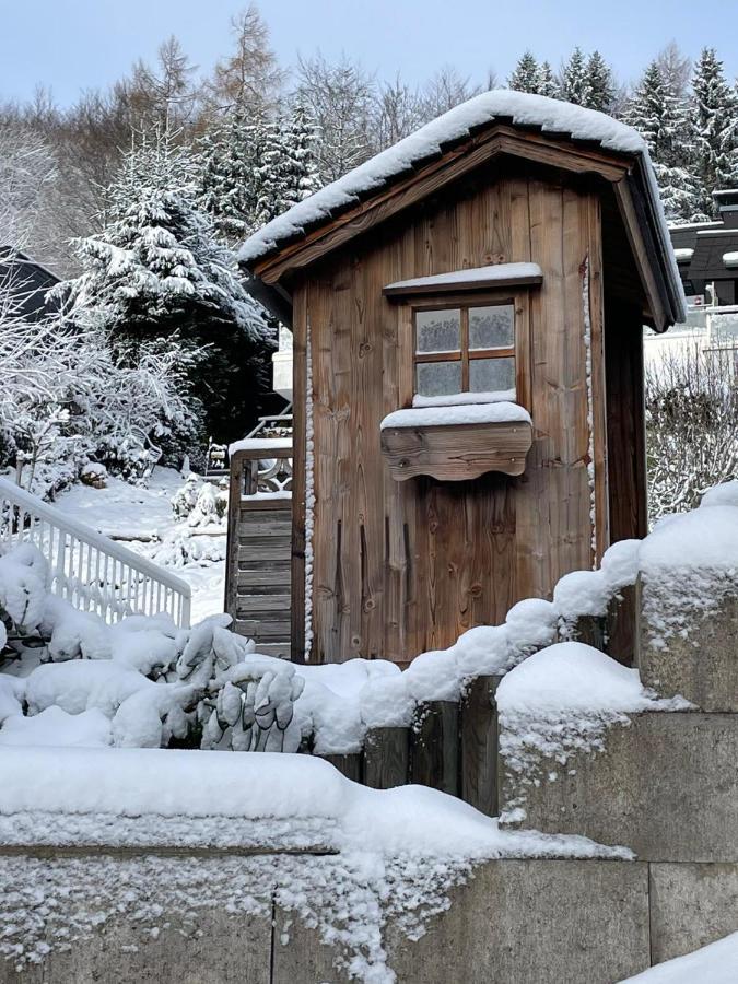 Bergchalet Heidestock Willingen  Zewnętrze zdjęcie