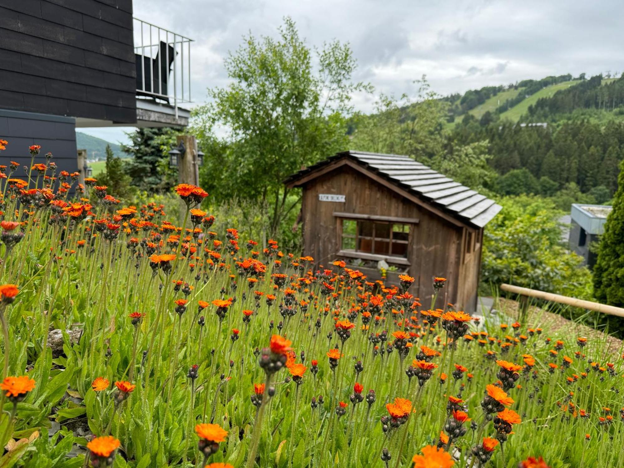 Bergchalet Heidestock Willingen  Zewnętrze zdjęcie